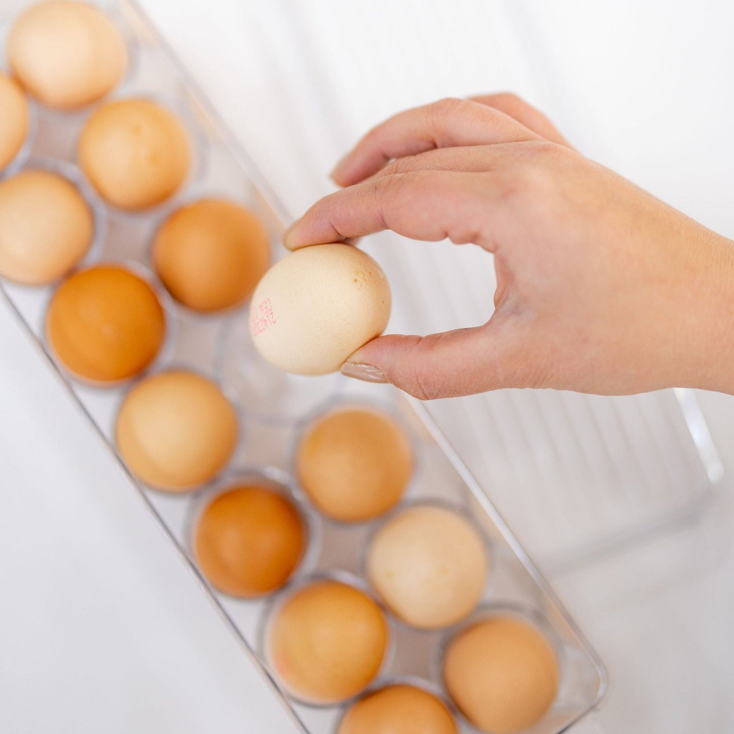 Egg holder and storage tray for 14 eggs